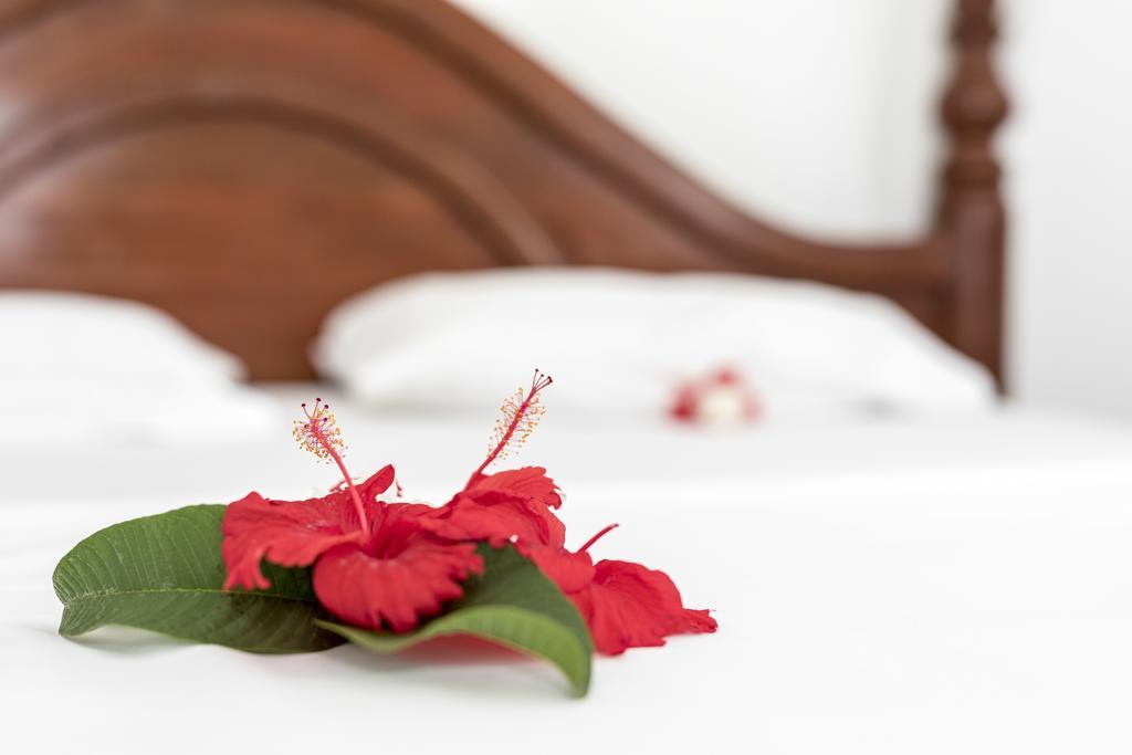 Kite&Active Guesthouse Paje Ngoại thất bức ảnh