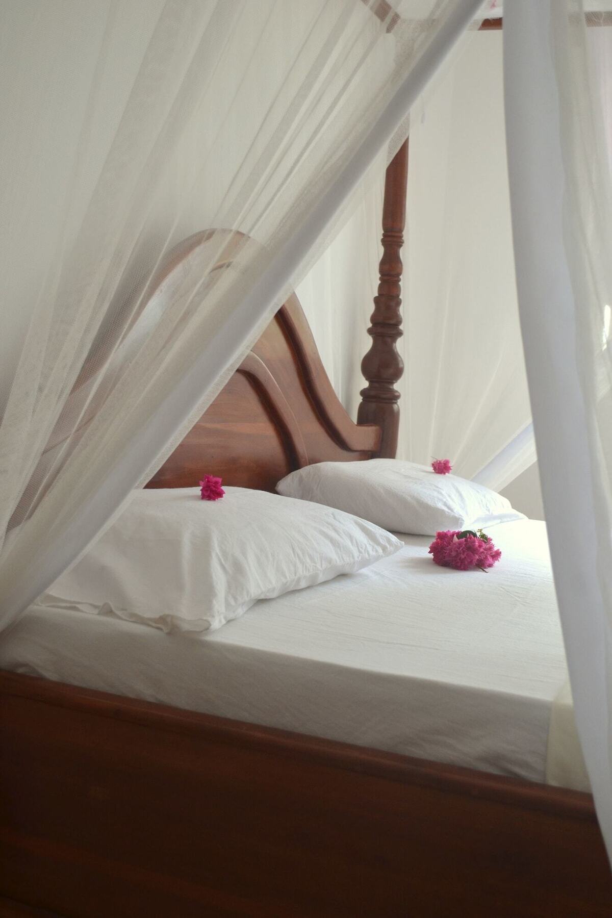 Kite&Active Guesthouse Paje Ngoại thất bức ảnh
